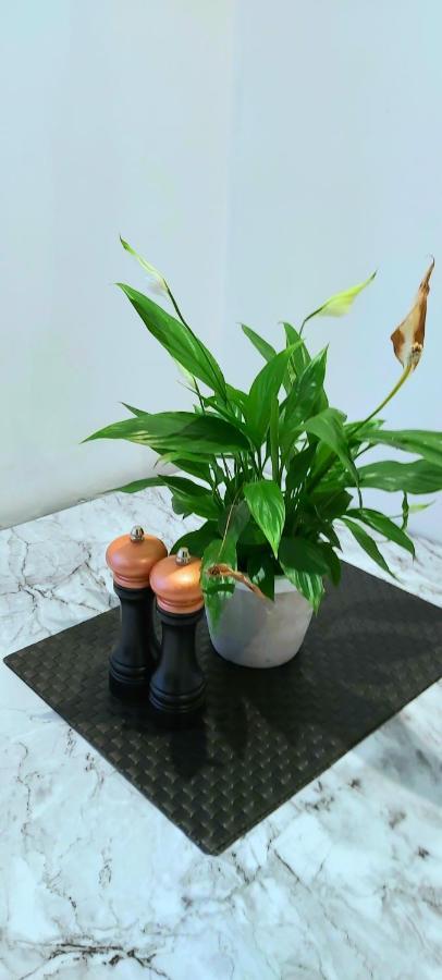 Great Studio Apartments - Netflix, Wifi, Digital Tv Sheffield Esterno foto